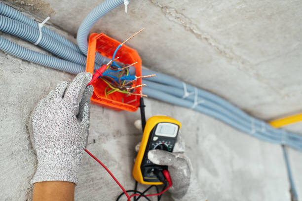 Best Electrical Upgrades for Homes  in Columbus, MN